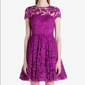 Ted Baker Caree Lace Dress size 8